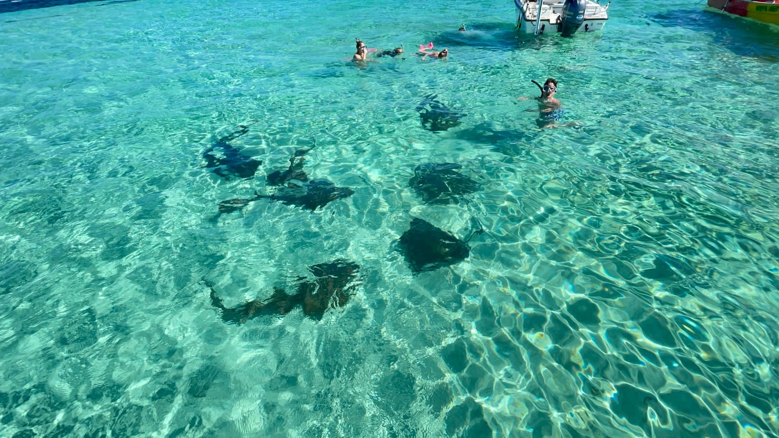 Roatan East End Tour – Saint Helene & Mangroves | Caribbean Adventures ...