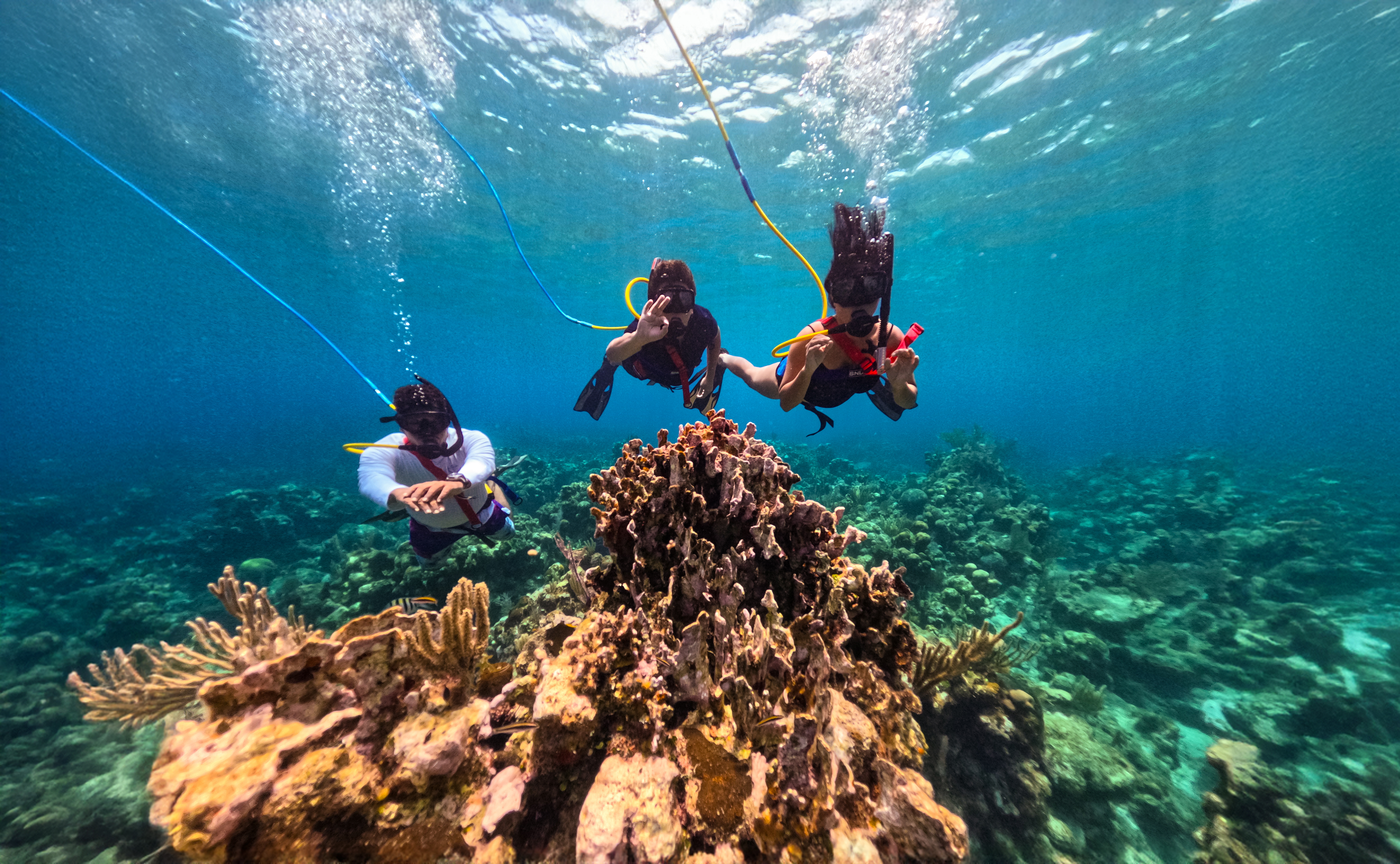 SNUBA Diving in Roatan – Beach Access | Caribbean Adventures Roatan ...