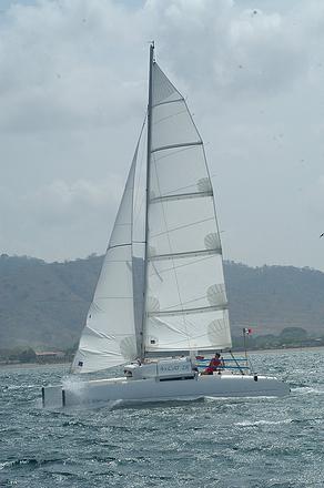 roger cat sailboat