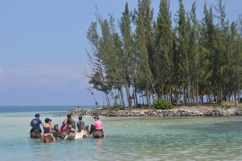 Horseback Riding & Palm Beach | Caribbean Adventures Roatan - Tours ...