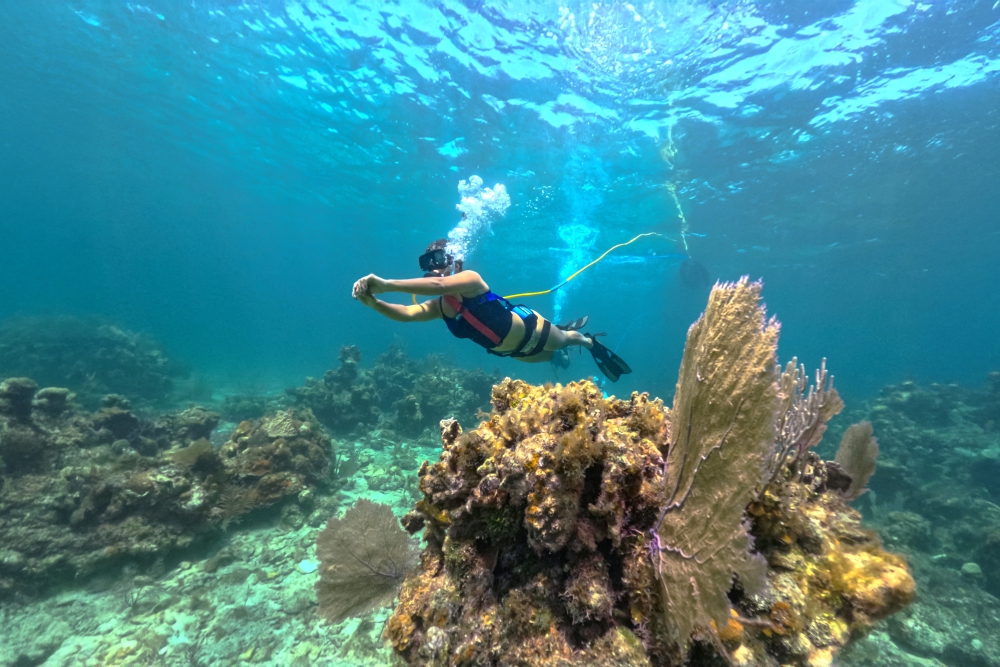 SNUBA Diving in Roatan – Beach Access | Caribbean Adventures Roatan ...