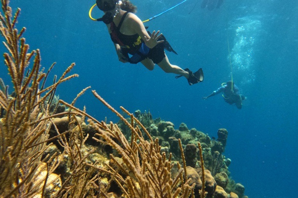 SNUBA Diving in Roatan – Beach Access | Caribbean Adventures Roatan ...
