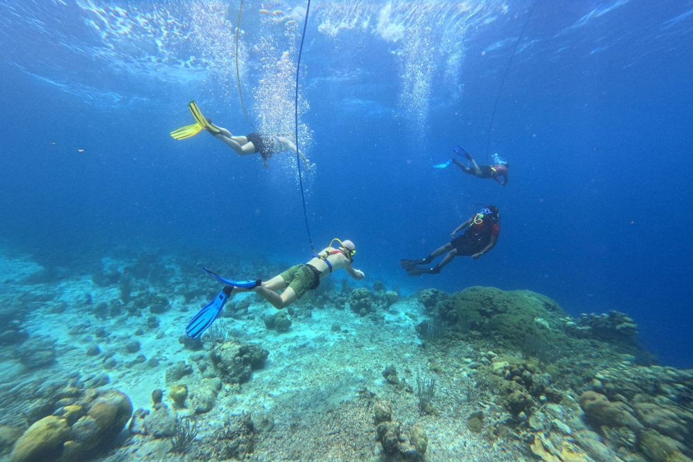 SNUBA Diving in Roatan – Beach Access | Caribbean Adventures Roatan ...