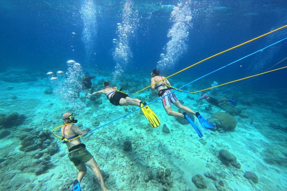 SNUBA Diving in Roatan – Beach Access | Caribbean Adventures Roatan ...